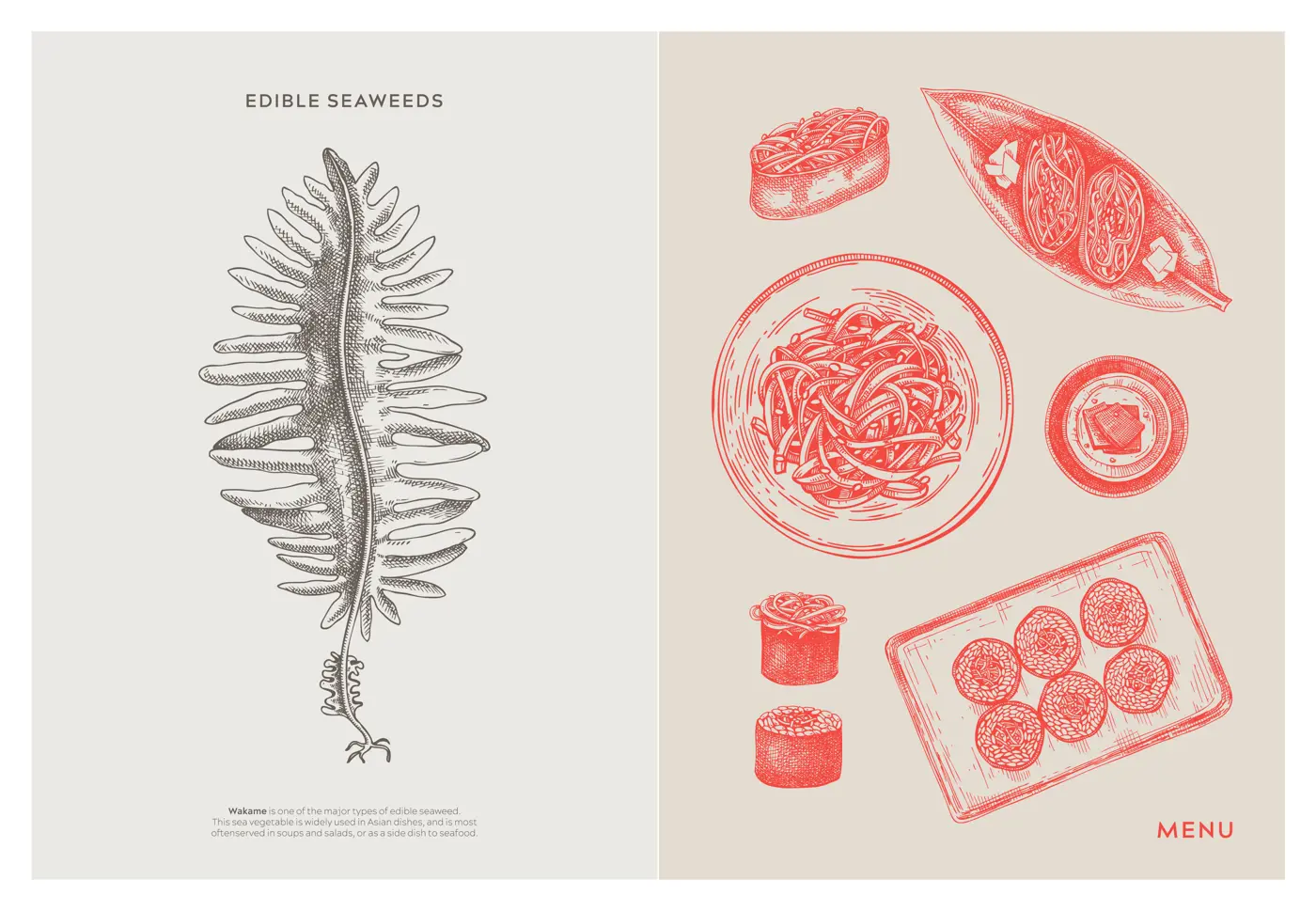 Asian food background. Wakame, edible seaweeds, sea vegetable, kelp, healthy food sketches. Hand drawn seafood restaurant menu design template. Engraved vector illustrations in vintage style Illustration